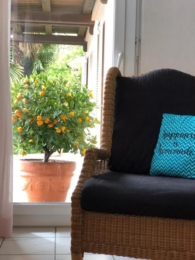 Casa Vista Lago Διαμέρισμα Minusio Εξωτερικό φωτογραφία